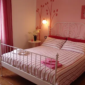 Bed & Breakfast Myosotis, Pisa