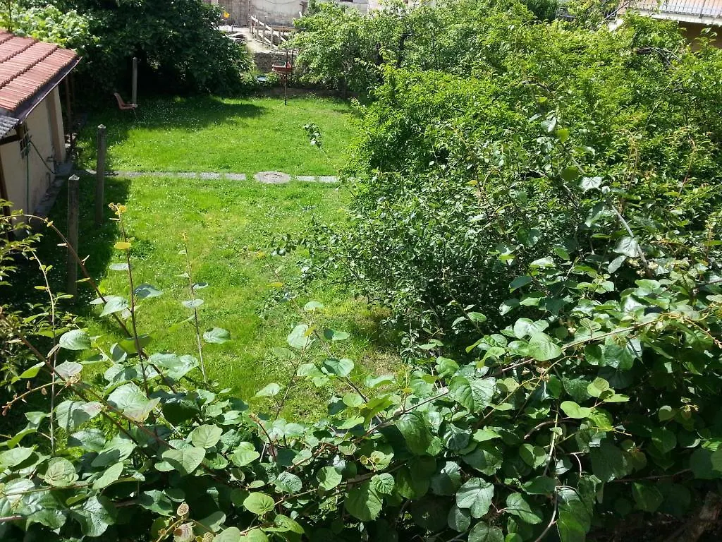 Bed & Breakfast A Due Passi Dal Centro Rooms For Rent Pisa
